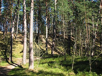 Егор Журавлёв from Smarde, Latvia · CC BY-SA 2.0 · Wikimedia Commons